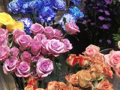 -植物学家的女儿(北马道巷店)