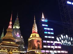 -西双版纳原始森林公园