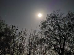 -汉长安城未央宫国家考古遗址公园