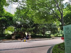 -蓝海豚游泳俱乐部(南京西路店)