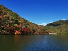 -龙道沟景区
