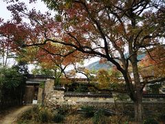 -塔川景区