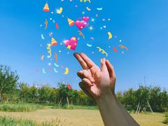 -春花秋色城市公园