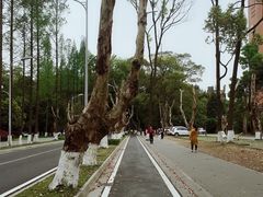 -四川大学(望江校区)