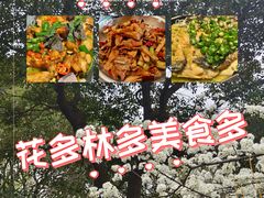 -贡湖湾湿地公园