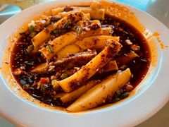 -龙翔山庄雷鸡肉(青城后山泰安古镇店)