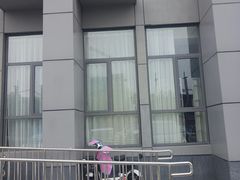 -一只酸奶牛(丹尼斯大卫城店)
