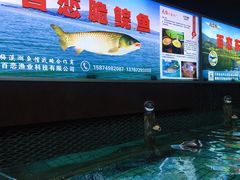 -天怡·鱼工厂(梅溪湖店)