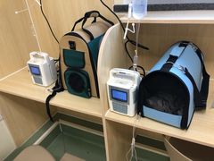 -美联众合动物医院·24h京西诊疗中心