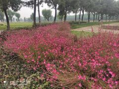 -汉长安城未央宫国家考古遗址公园