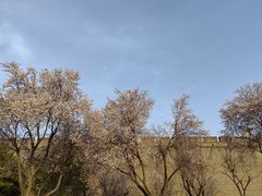 -西安市广仁寺