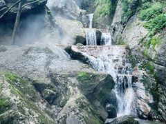 -牛背梁国家森林公园