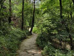 -木兰云雾山