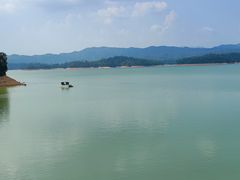 -广州市流溪河国家森林公园