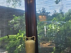 -九里云松·天香餐厅