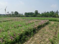 -歌斐颂巧克力小镇