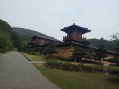-习家池