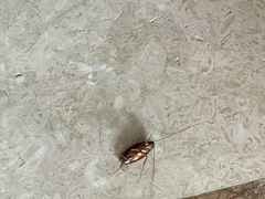 -诸暨祥生世纪酒店