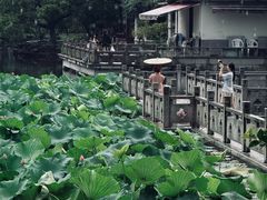 -范蠡湖公园