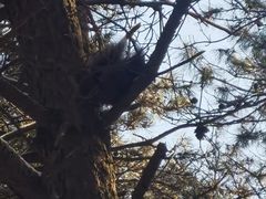 -帽儿山国家森林公园