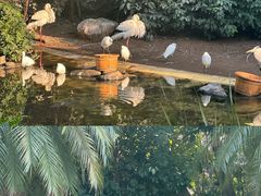 -珠海长隆海洋王国