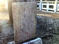 -上海佘山国家森林公园天马山园