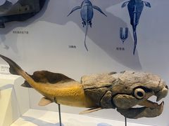-重庆自然博物馆(新馆)