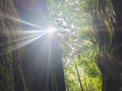 -牛背梁国家森林公园