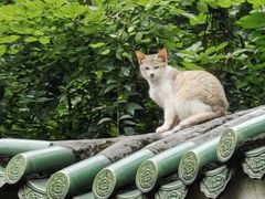 -广州市白云山风景名胜区