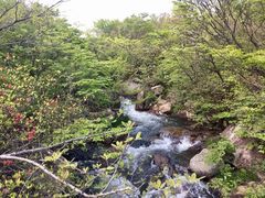 -浙西天池景区