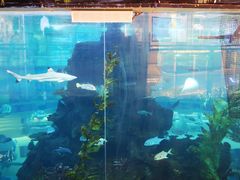 -鸿通城购物中心