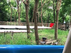 -动邦皮划艇·桨板·独木舟·团建户外运动俱乐部