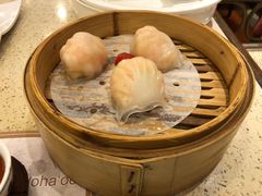 金牌虾饺皇-点都德(花城店)