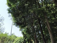 -温江公园