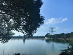 -水濂山森林公园