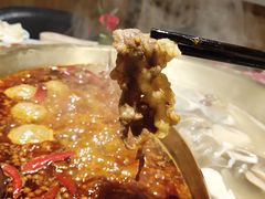 -矮冬瓜红茶火锅