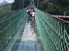 景点-梦幻奥陶纪景区