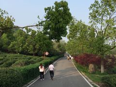 -南京市江宁方山