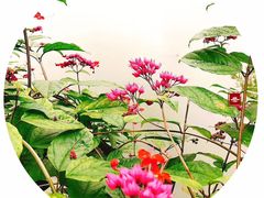 -桂林灵渠景区