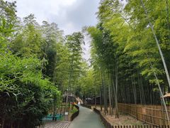 -陶祖圣境风景区