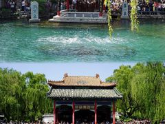 -趵突泉景区