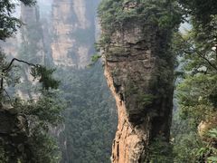 -张家界天门山国家森林公园