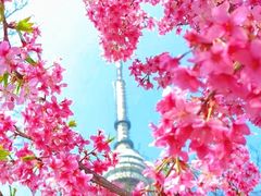 -龟山风景区-龟山电视塔