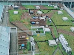 -上海市第一人民医院(松江南部)