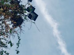 -武汉大学老图书馆