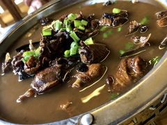 -途肴·老农饭庄(百里峡店)