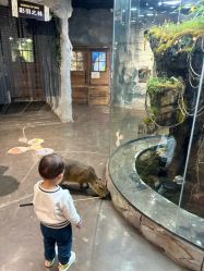 -Zoolung Zoolung动物主题公园(海信广场店)