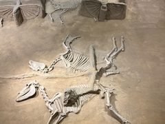 -洛阳周王城天子驾六博物馆