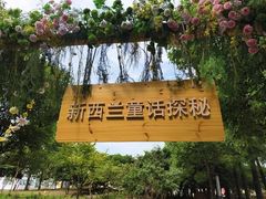 -陶辛水韵