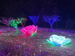 -青龙湖公园